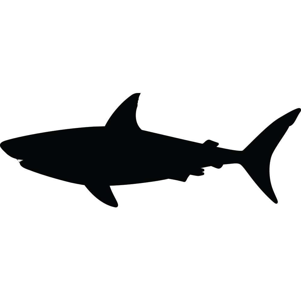 SHARKLIFE - Official Website